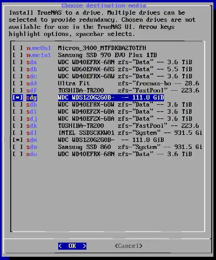 Installation selection screen for TrueNAS displaying a list of drives with different capacities and names, including 2 highlighted discs of similar capacity.