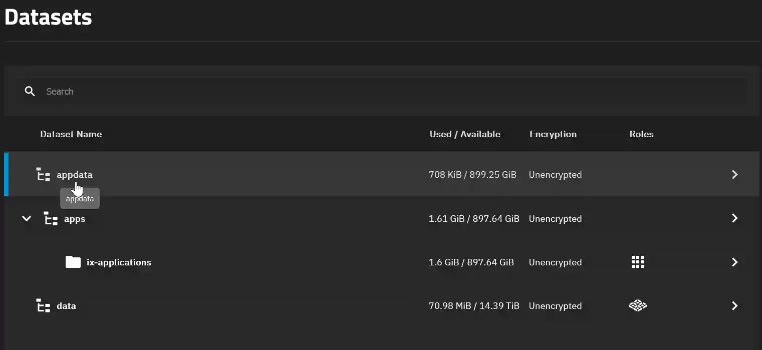 A snapshot of a computer interface showing a list of datasets with their names, used and available space, encryption status, and roles within a data storage management system.